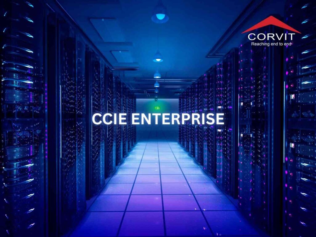 A student at Corvit Bahawalpur campus engaged in a hands-on CCIE lab session for enterprise networking