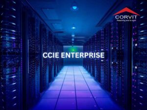 A student at Corvit Bahawalpur campus engaged in a hands-on CCIE lab session for enterprise networking