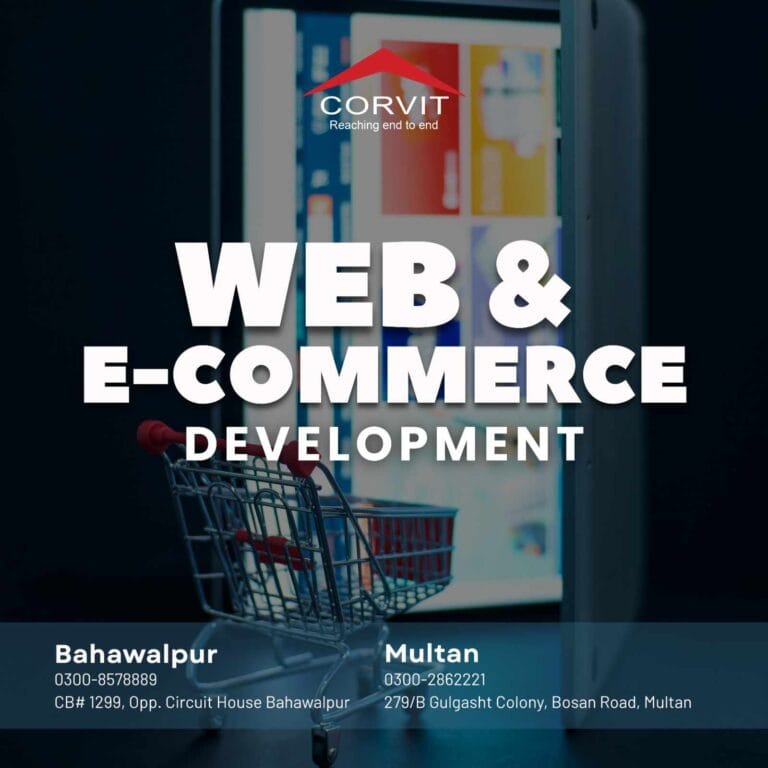 An entrepreneur from Bahawalpur excitedly managing their successful Shopify online store from their home.